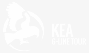 Nz's - Ziptrek Ecotours #3949252