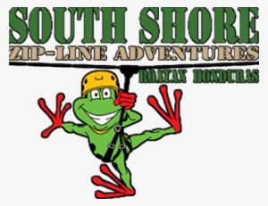 South Shore Canopy Zipline #3949581