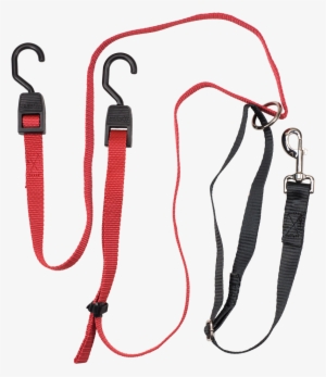 Pet Zipline - Pet #3949719