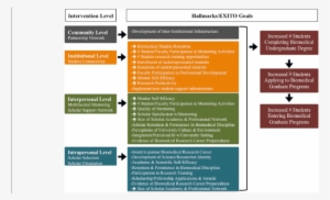 Build Exito Evaluation - Disc Jockey #3949951