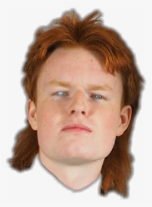 Report Abuse - Mullet #3950594