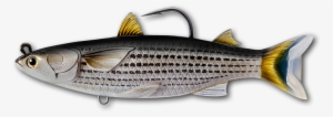 Live Target Mullet Swimbait #3950666