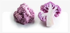 Hello We Can Give You A Call - Florida #3951019