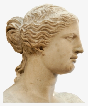 Venere Di Milo - Venus De Milo Head Png #3951715