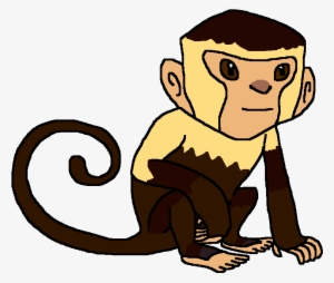 Capuchin Monkey #3951972