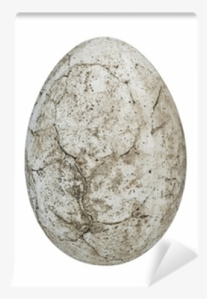 Realistic Dinosaur Egg Clipart #3953904