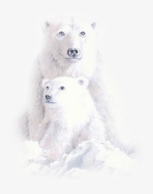 Tubes Ours Paint Shop, Psp, Snow White, Tube, Clip - Tube Ours #3954082