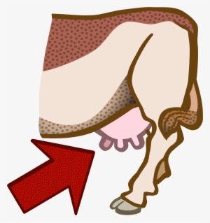 Big Image - Cow Udder Clipart #3954979