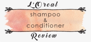 Doesn't That Sound Like The Dream I've Always Struggled - Archive #3956873