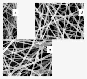 Sem Micrograph Of Ca Electrospun Fiber Prepared From - Architecture #3957663