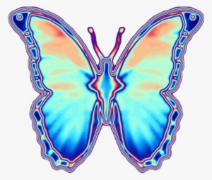 Share This Image - Kupu Warna Kupu Kartun Png #3957855