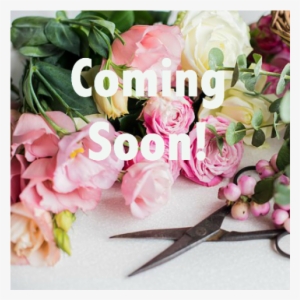 Coming Soon With Flowers #3959142