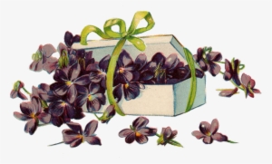 Vintage Violets In A White Box Free Image Png - Portable Network Graphics #3959722