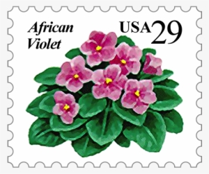 Offered By The African Violet Society Of America, Inc - African Violets #3960993