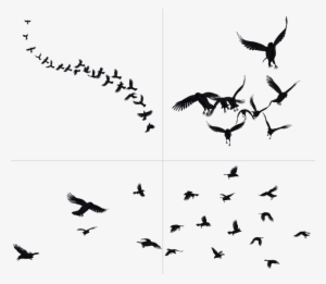 Crow Free Png Transparent Background Images Free Download - Group Of Crows Png #3961258