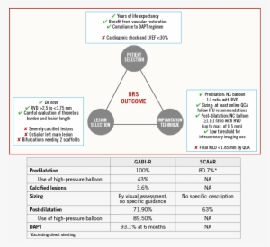 "data From Real-world Registries - Bioresorbable Stent #3962514