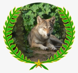 Այս Նիշքը Տեղադրված Է Վիքիպահեստում - Wolf #3964061 Այս Նիշքը Տեղադրված Է Վիքիպահեստում - Wolf #3964061