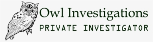 Amongst The Services We Offer Private Investigator - Texas Insurance Coverage Litigation- The Litigator's #3964263