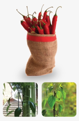 Compost-bin - Woolen #3964264