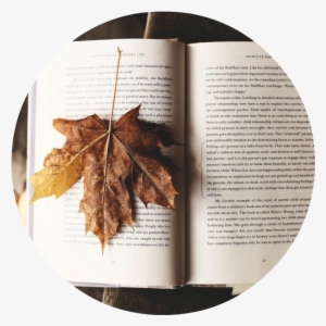 Over 100 Pounds Of Food Was Raised For The Larimer - إقتباسات راقية من كتب #3964384