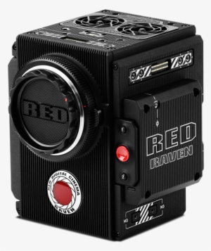 Red - Raven Brain - Red Weapon Dragon #3964660