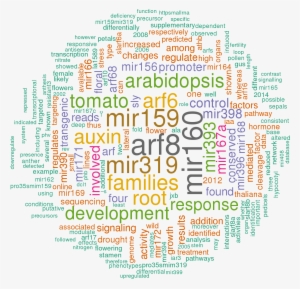Stem Loop Sequence Ath Mir167b - Prognostic And Health Management #3964825