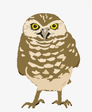 Boy Transparent Angel - Burrowing Owl Clipart #3966915