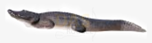 Picture Of Delta Alligator - Delta Mckenzie Outdoor Hunting 20820 Pro 3d - Alligator #3967052