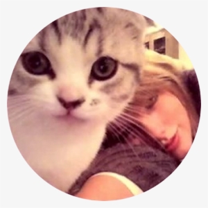 Cat, Meredith, And Taylor Swift Image - Taylor Swifts Cats Transparent #3967751