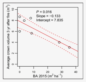 California Black Oak Sprout Clump Volume Following - Oak #3967982