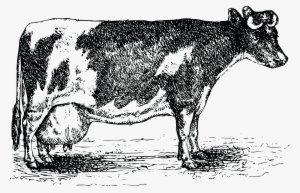 Free Clipart Of A Cow - Santos Red One Gewürzpräparat 300g Streudose #3968427