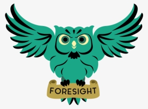 Barn Owl Png - Owl #3969088