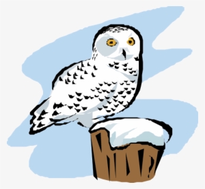 Snowy Owl - Snowy Owls Cartoon Transparent #3969244