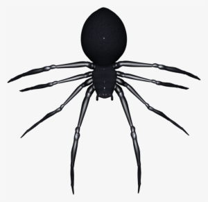 Halloween Image Art - Widow Spiders #3970315
