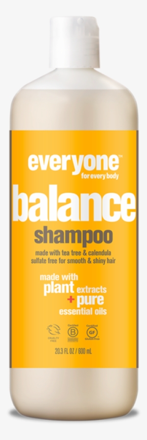Everyone Balance Sulfate Free Botanical Shampoo 20oz - Cht Ceramic Hydroxyapatite Type Ii #3971751