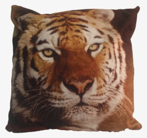 43cm Cushion Tiger - Cushion #3972607
