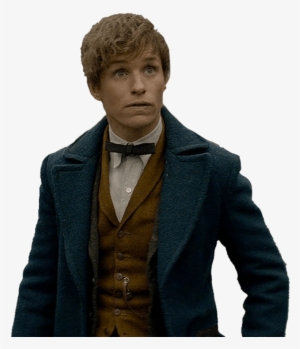 Newt Scamander #3973196