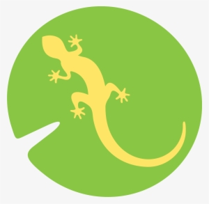 Newt Db - Architecture #3973529