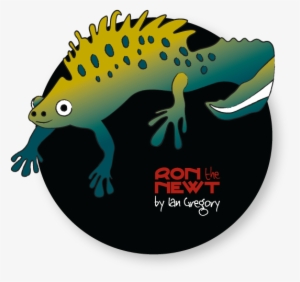 ~ Ron The Newt - Lizard #3974269