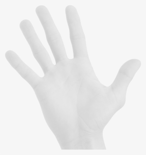 Hand Therapy Inc-bellingham #3974762