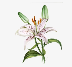 Flowers Painting 3'x5' Area 3'x5 - Flowers Painting 3'x5' Area 3'x5' Area Rug #3975279