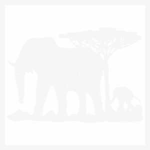 Trail Of The Elephant - Indian Elephant #3975726