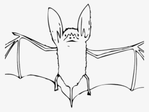 Cute Bat Clipart - Bat Coloring Pages #3976738