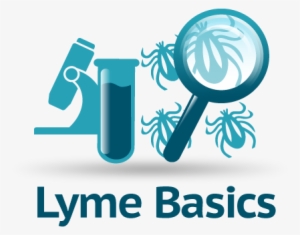 Lymedisease - Org - Lyme Disease Icon Png #3976856