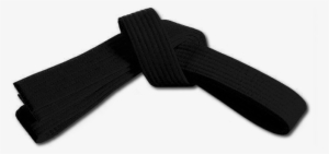 Black Belts Of Tokon Shotokan Karate - Black Karate Belt Png #3976976