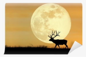 Wissenmedia Kalender - Postkartenkalender Sonne Und #3979032