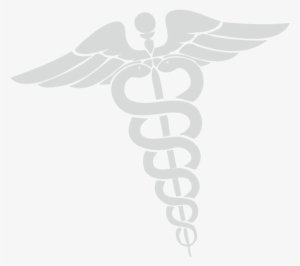 Whether You Are An Employer Seeking Exceptional Nursing #3979646