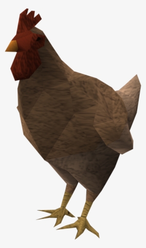 Brown Chicken Png Download Image - .wiki #3980101