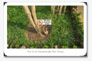 No Dog Pooping - Germanys Next Topmodel 2012 #3981705