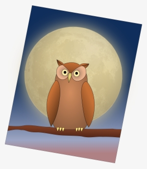 Big Image - Owl #3982852